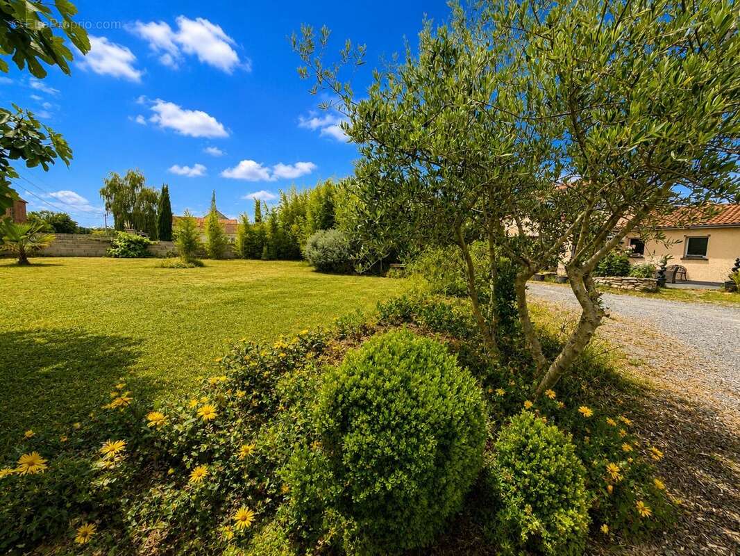 Maison 130 m² à Saint-Clement-De-Regnat  - photo 2