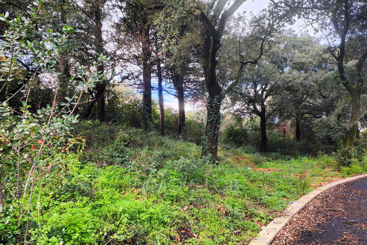 Terrain à VILLENEUVE-LES-AVIGNON