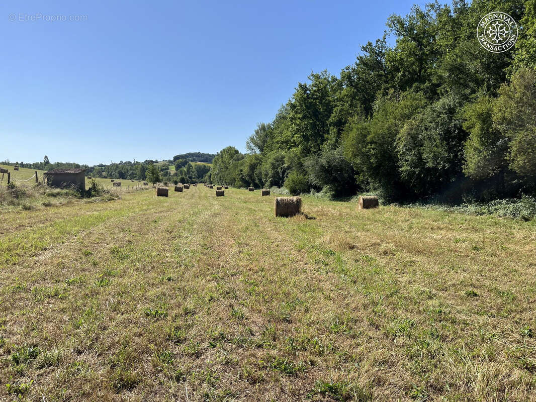 Domaine équestre ou agricole de 30 hectares en Occitanie - photo 12
