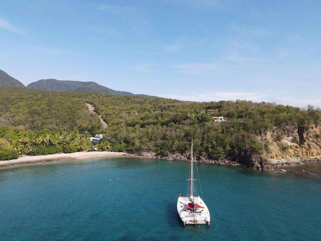 Commerce à DESHAIES