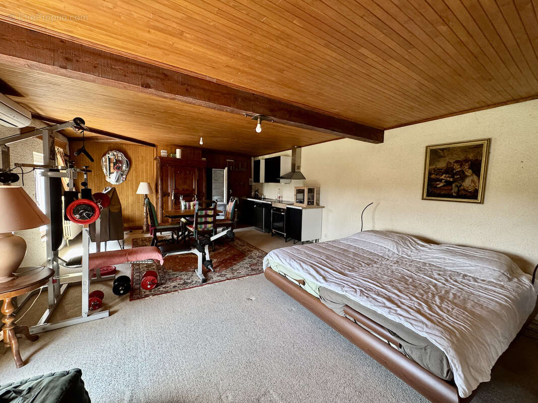 VILLENEUVE SUR LOT, propriété avec rapport locatif possible, grange, piscine et terrain d'environ 4,5ha - photo 21