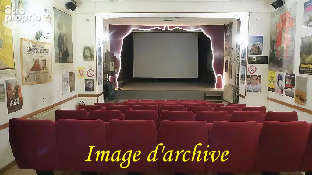 Unique en france : l'ancien plus petit cinéma à vendre - photo 12