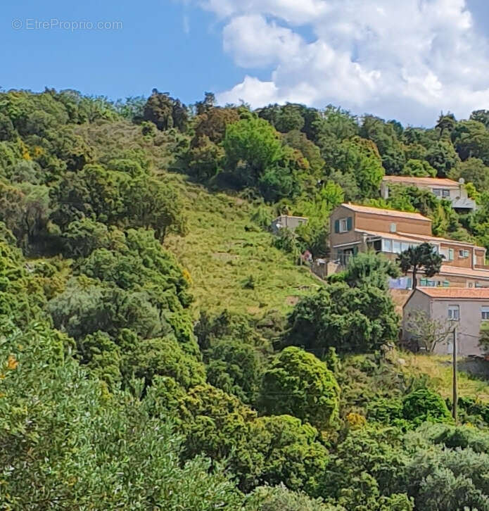 Terrain à SANTA-REPARATA-DI-BALAGNA