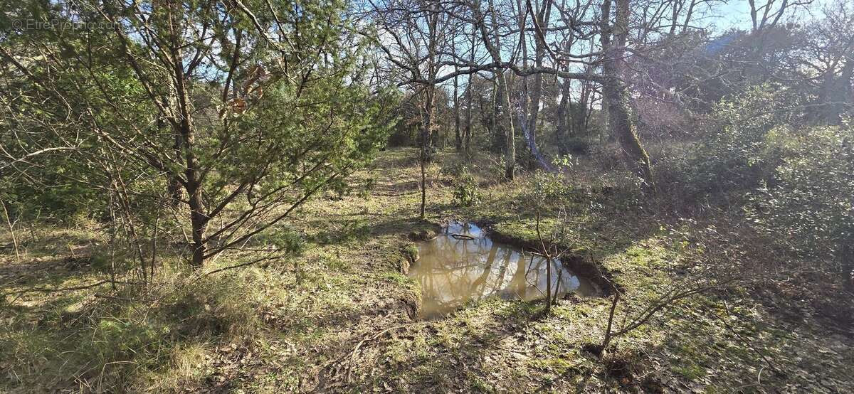 Terrain à SAINT-QUENTIN-LA-POTERIE