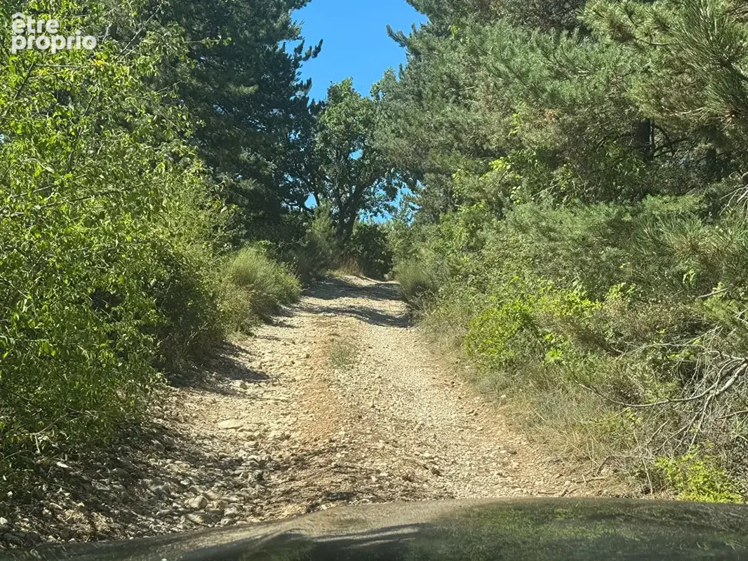 Terrain Sault 20196 m2 - photo 4