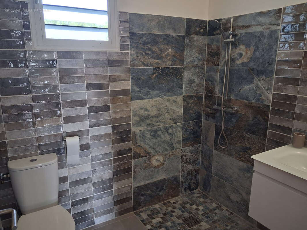 Maison à BASSE-POINTE