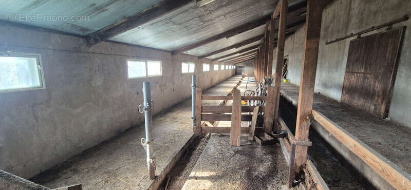 Bâtiment agricole vendre 3 pièces LE MALZIEU FORAIN (48) - photo 4