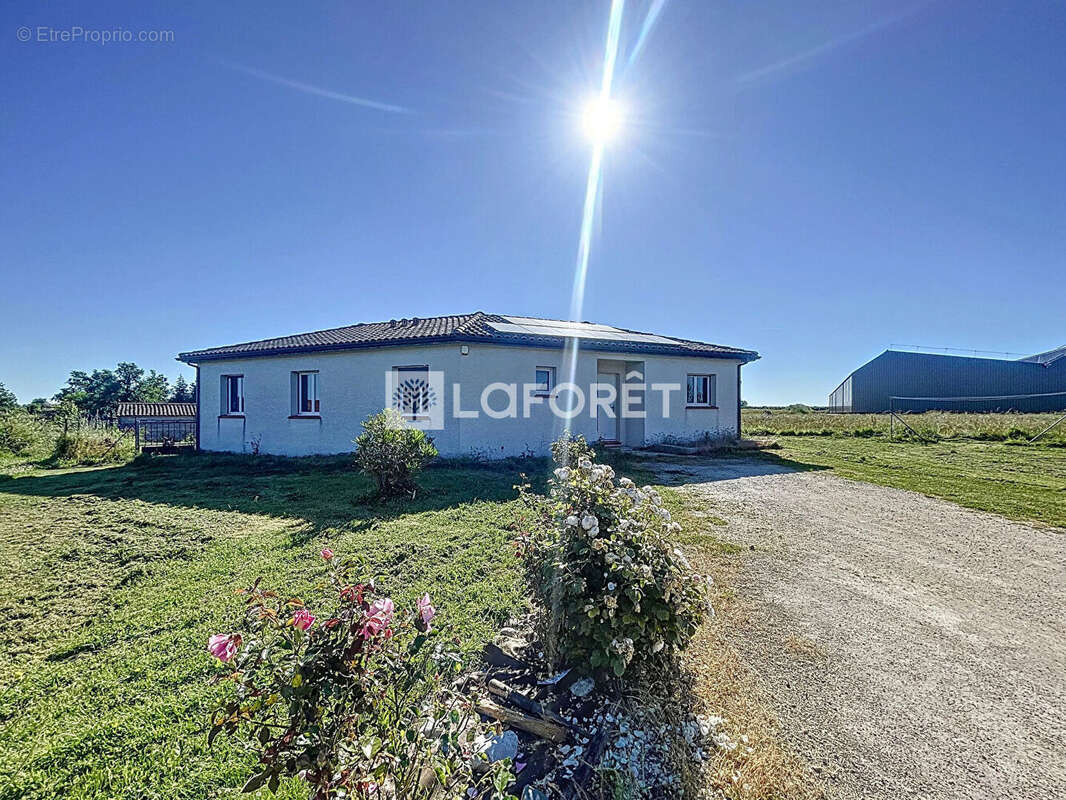 Maison Garganvillar 5 pièces environ109.31 m2 - 2399m² de terrain - photo 5