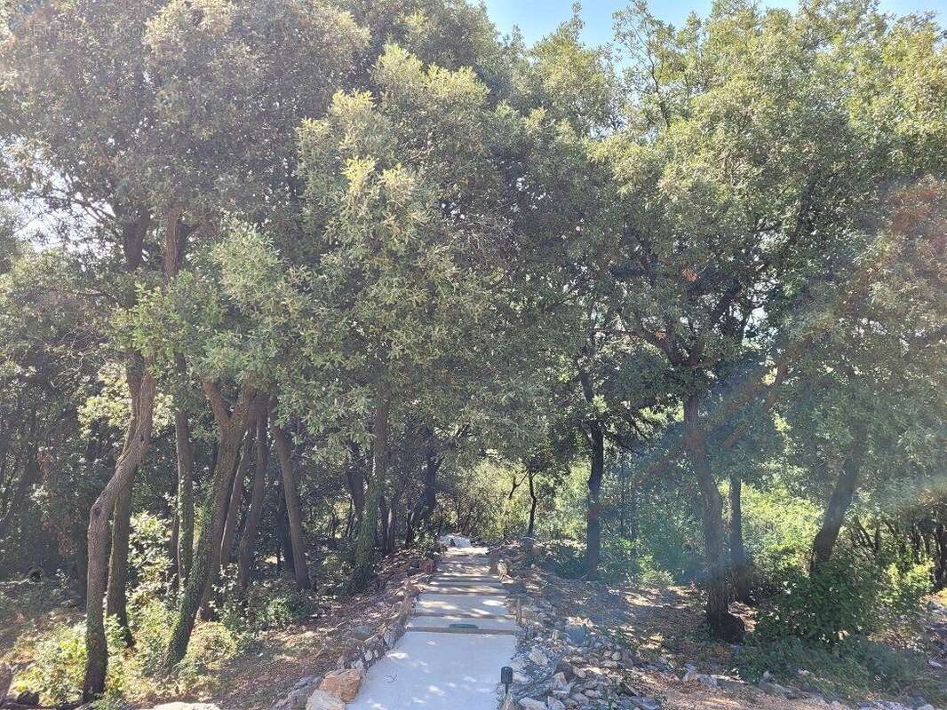 Photo 6 - Maison à FAUGERES