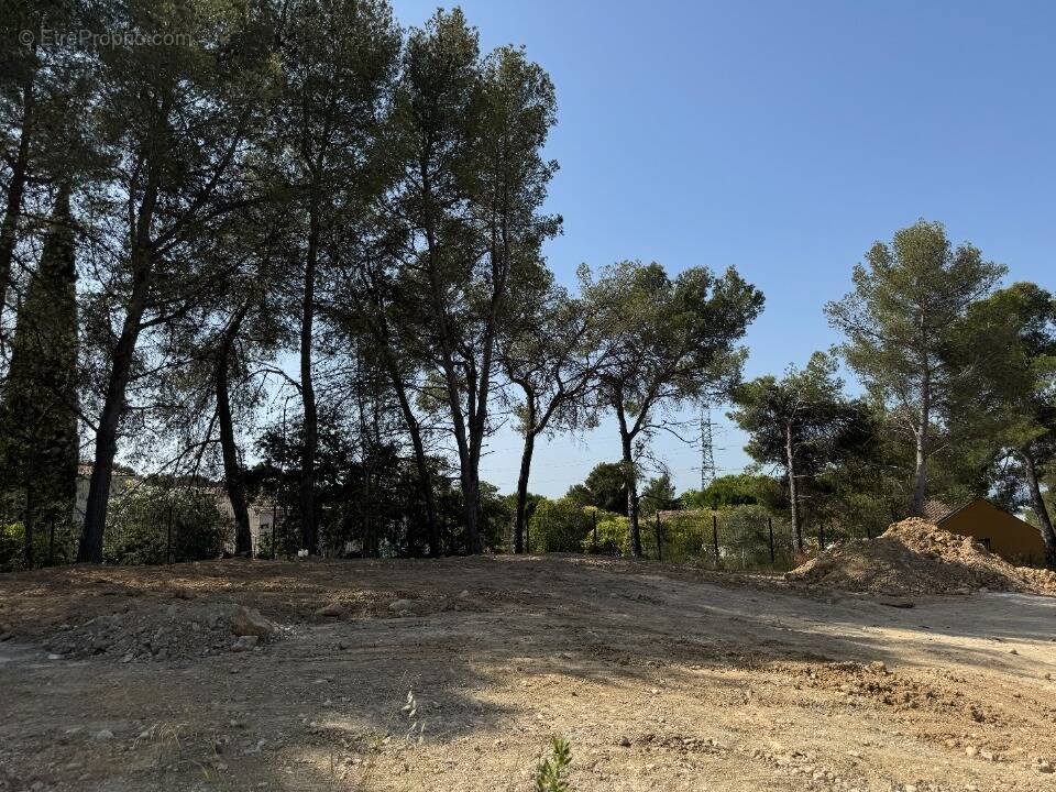 Terrain à SAINT-CLEMENT-DE-RIVIERE