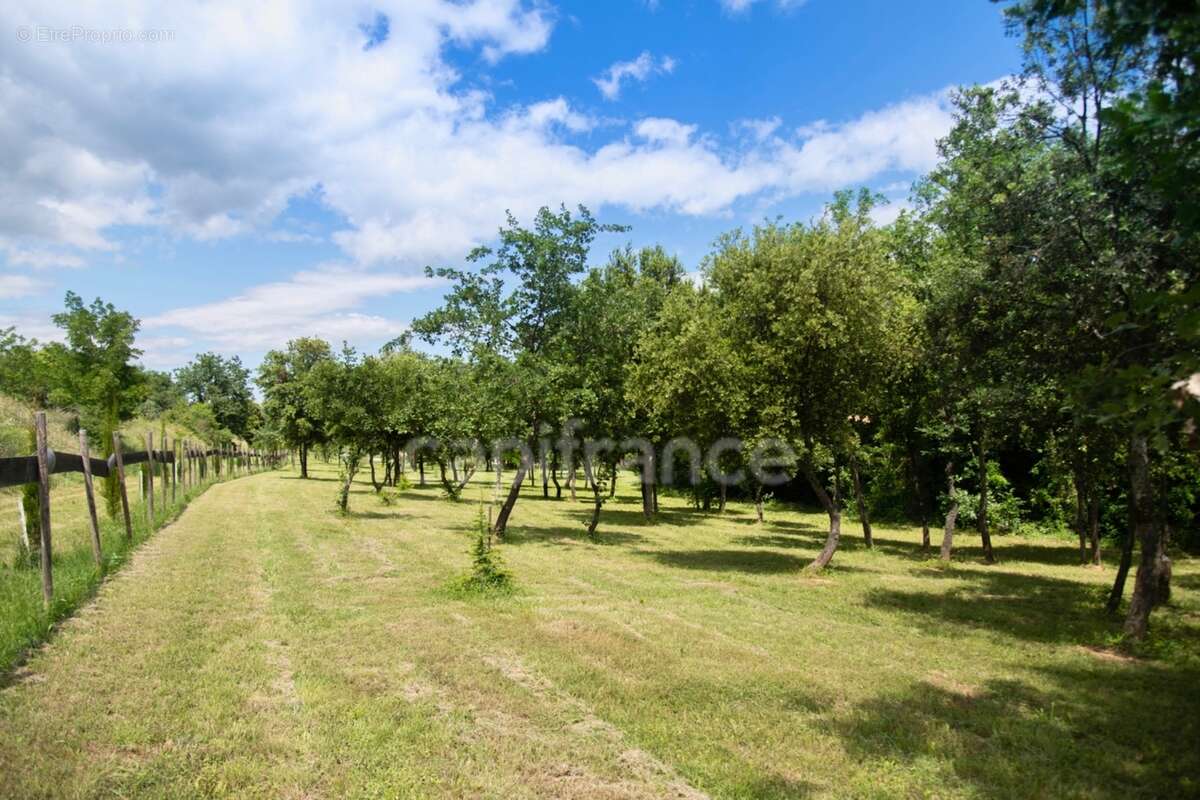 Entre Uzès et La Roque-sur-Cèze, Éden Provençal : Mas du XVIIIe & Son Domaine Privé sur 3,3 hectares - photo 37