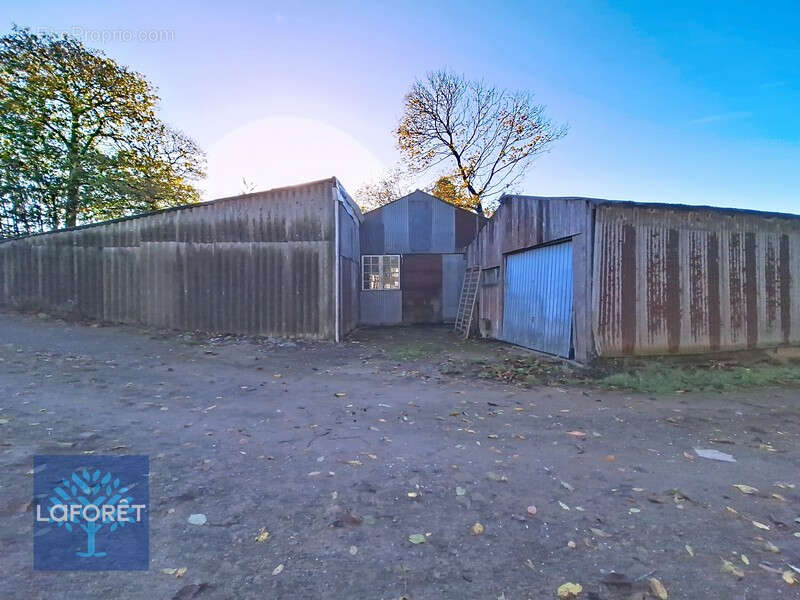 Maison à LOUVIGNE-DU-DESERT