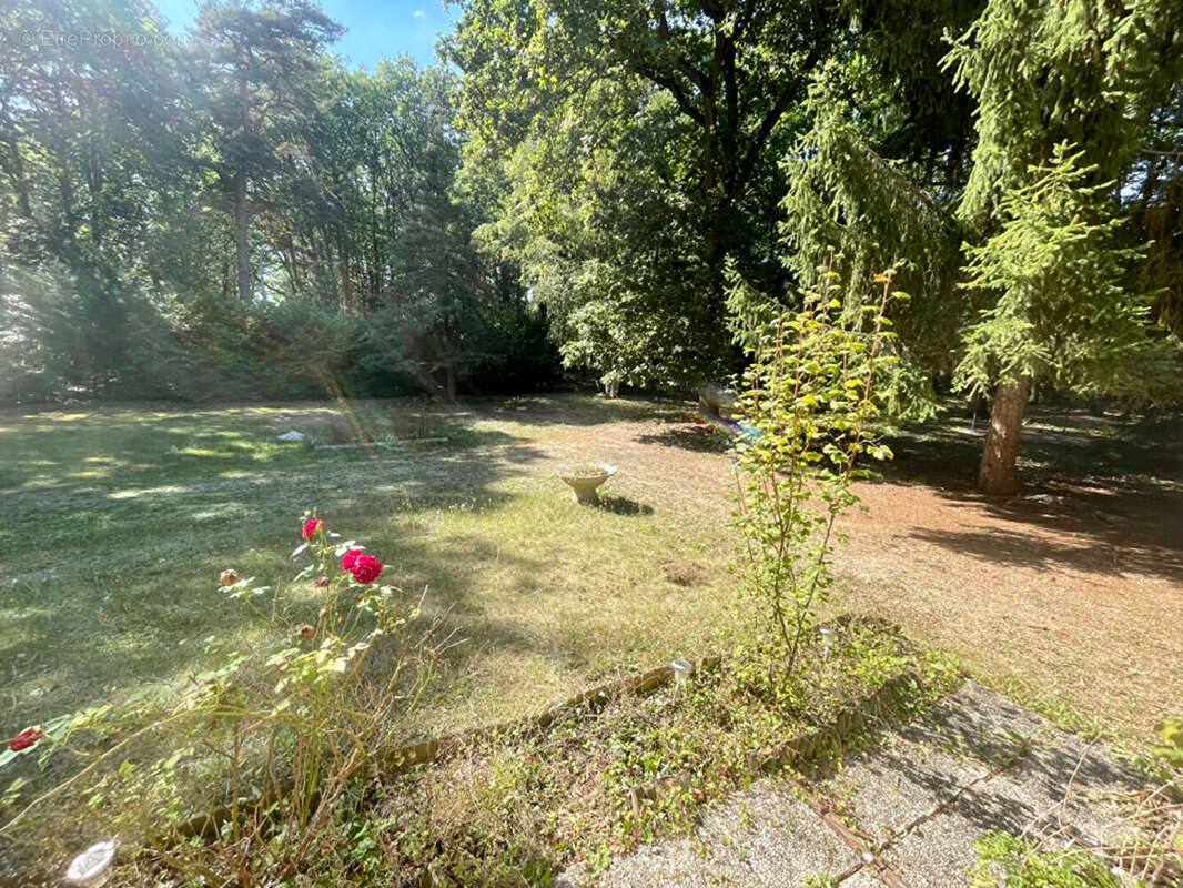 Maison à NOGENT-LE-ROI