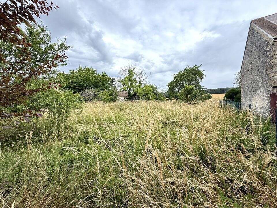 Maison ancienne avec grange et grand terrain - - photo 15