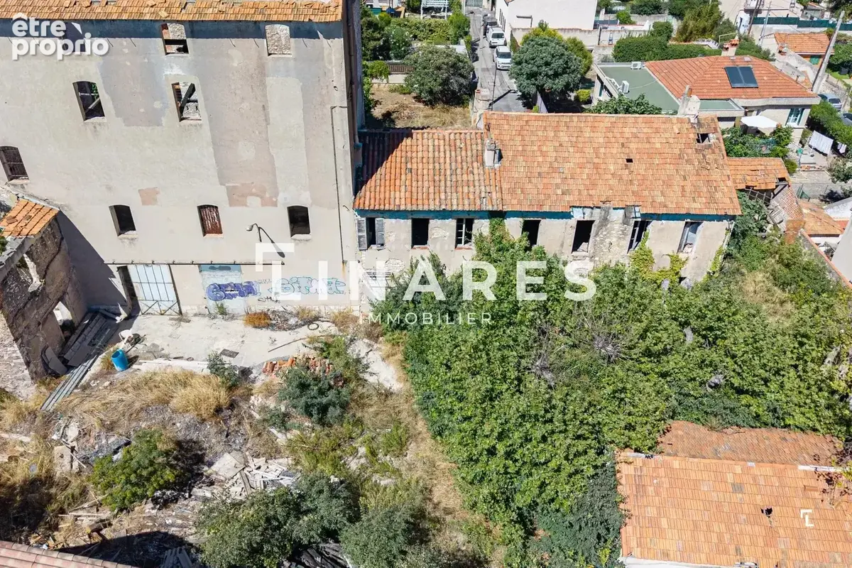 MINOTERIE - Immeuble immobilier 1300 m² - Terrain 1396 m² - Vue mer - 13015 - photo 3