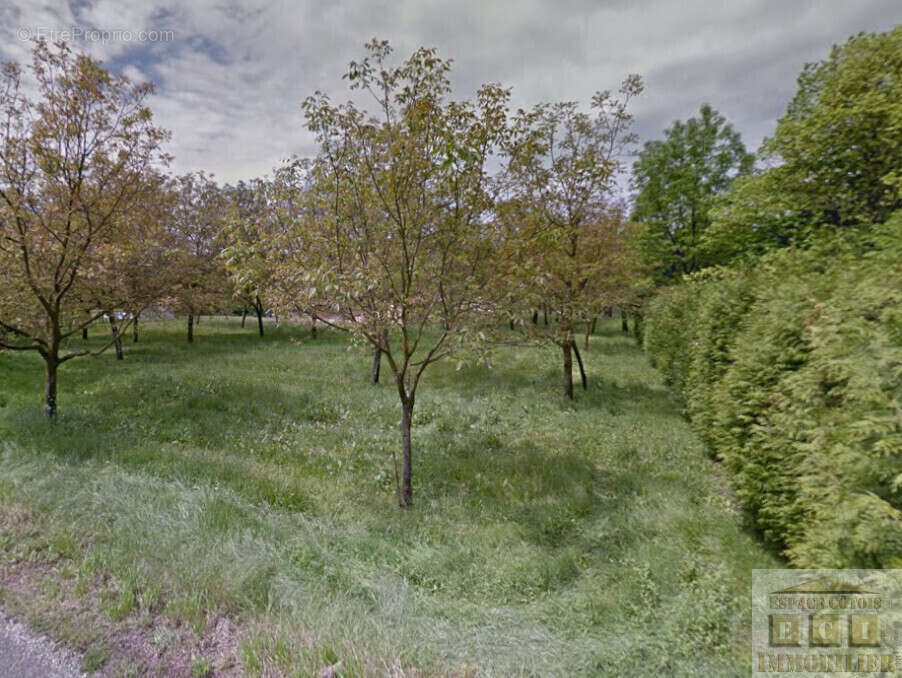 Terrain à LA RIVIERE