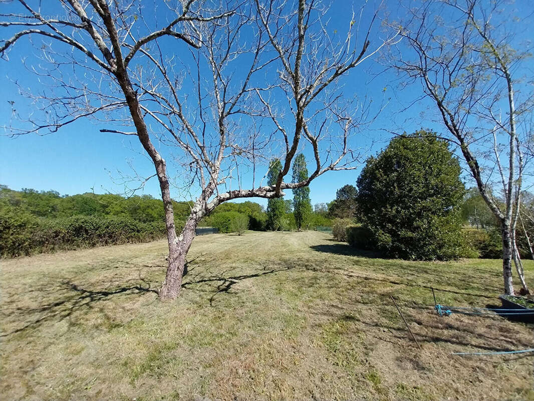 Maison à NOUAILLE-MAUPERTUIS
