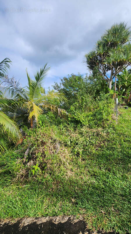 Maison à SAINT-JOSEPH