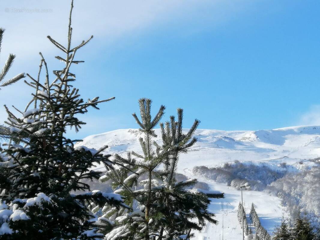 Maison à BESSE-ET-SAINT-ANASTAISE