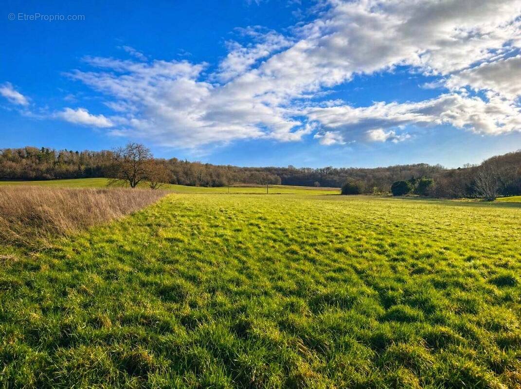 Terrain à CHAMPAGNE-ET-FONTAINE