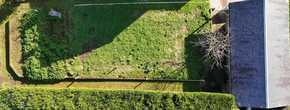 Photo 4 - Terrain à SAINTE-FLAIVE-DES-LOUPS