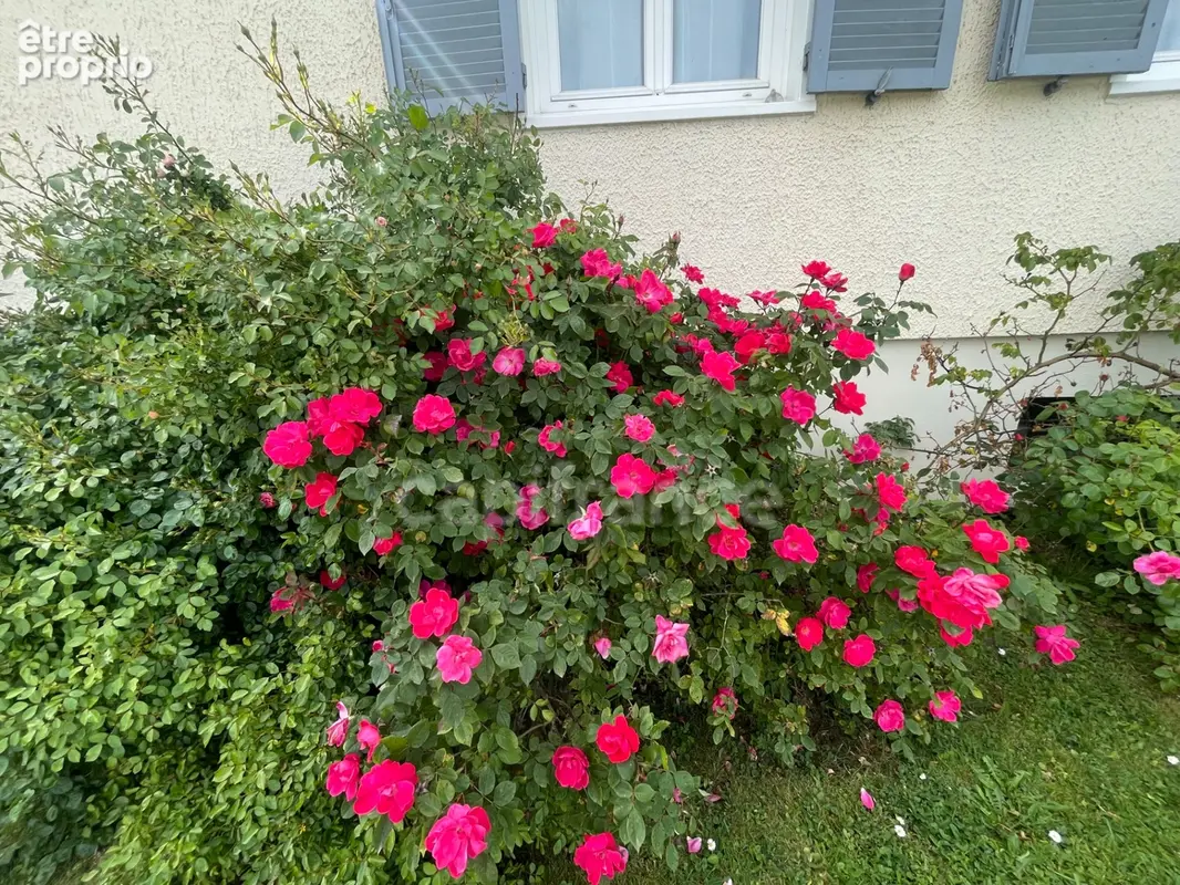 Maison independande -  jardin 800 m² - photo 15