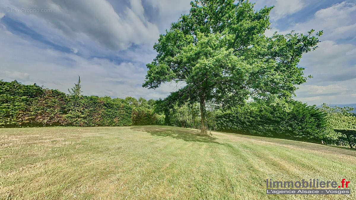 Terrain 3350 m² à Nayemont-Les-Fosses  - photo 5