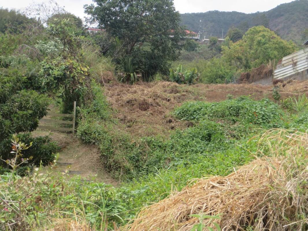 Terrain à LA POSSESSION