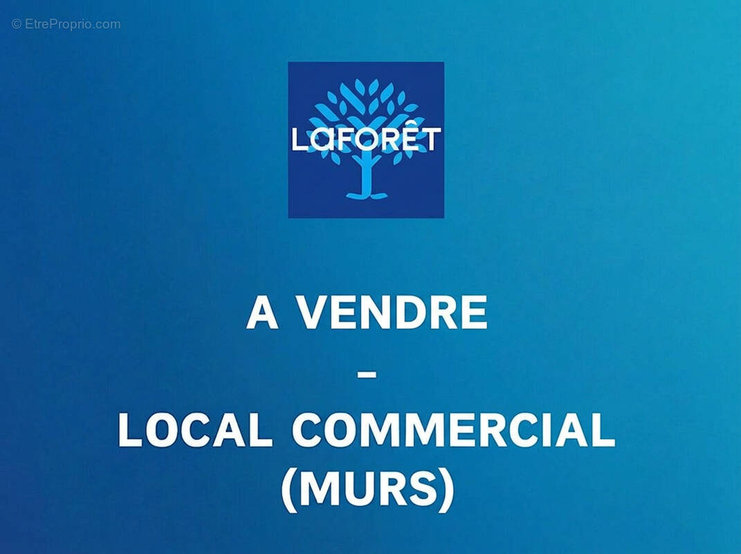 Commerce à SAINT-MARTIN-DE-CRAU