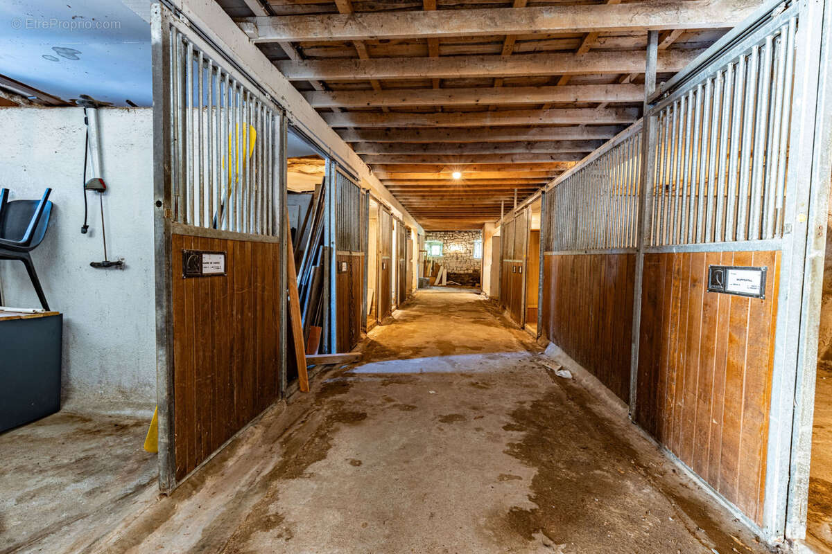 Vente ancien manoir - langogne-ecurie -box a chevaux - photo 10