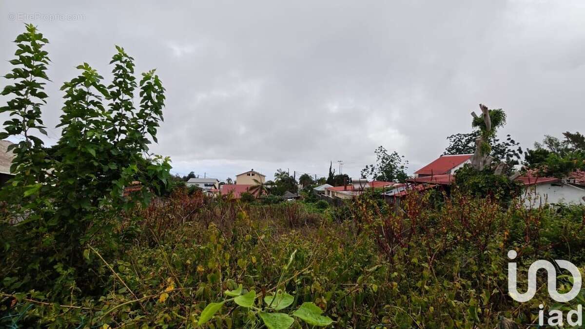 Photo 3 - Terrain à LE TAMPON