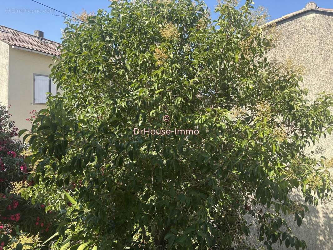 Maison 71 m² à Berre-L'etang  - photo 6