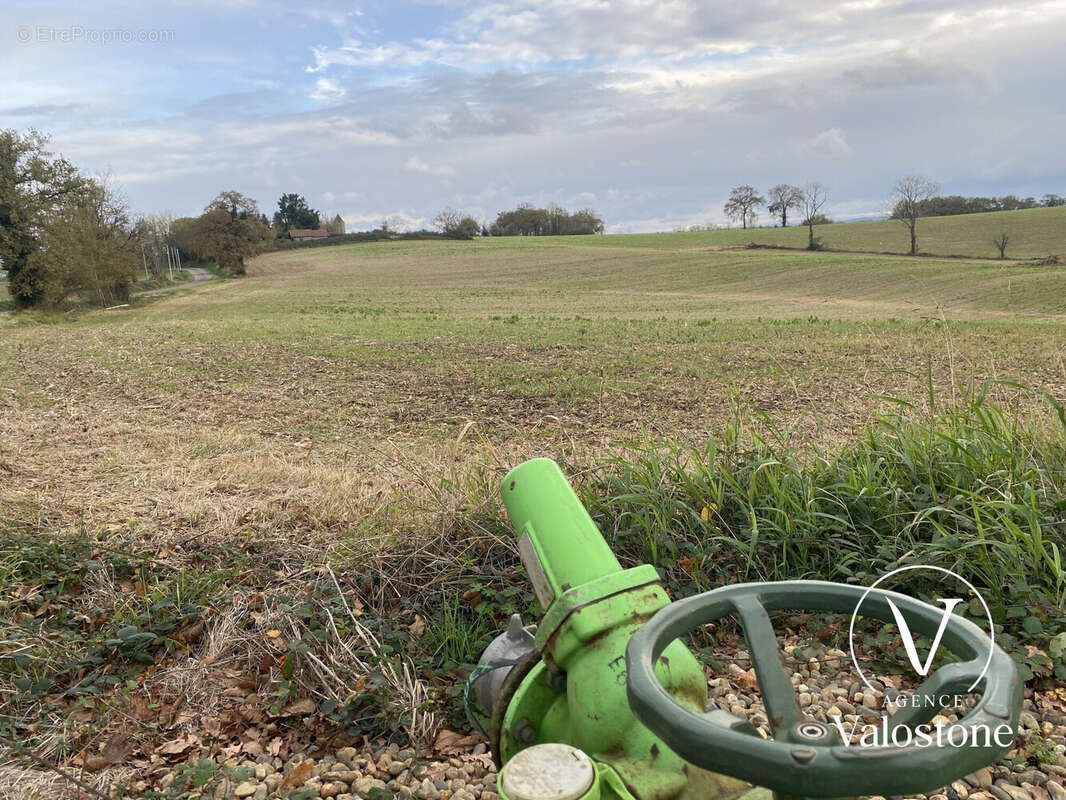 Terrain à CASTELNAU-TURSAN