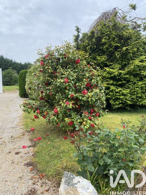 Photo 2 - Maison à PLESTIN-LES-GREVES