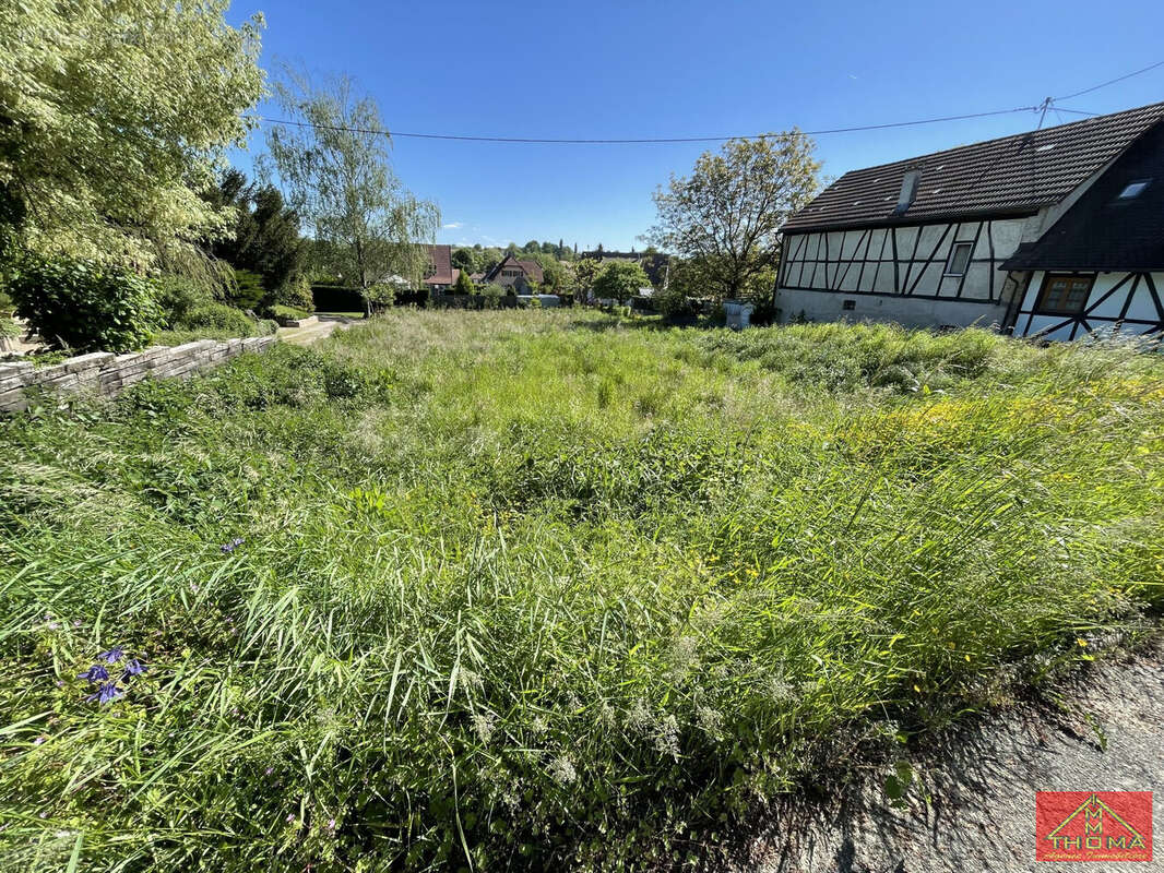 Terrain à BERENTZWILLER