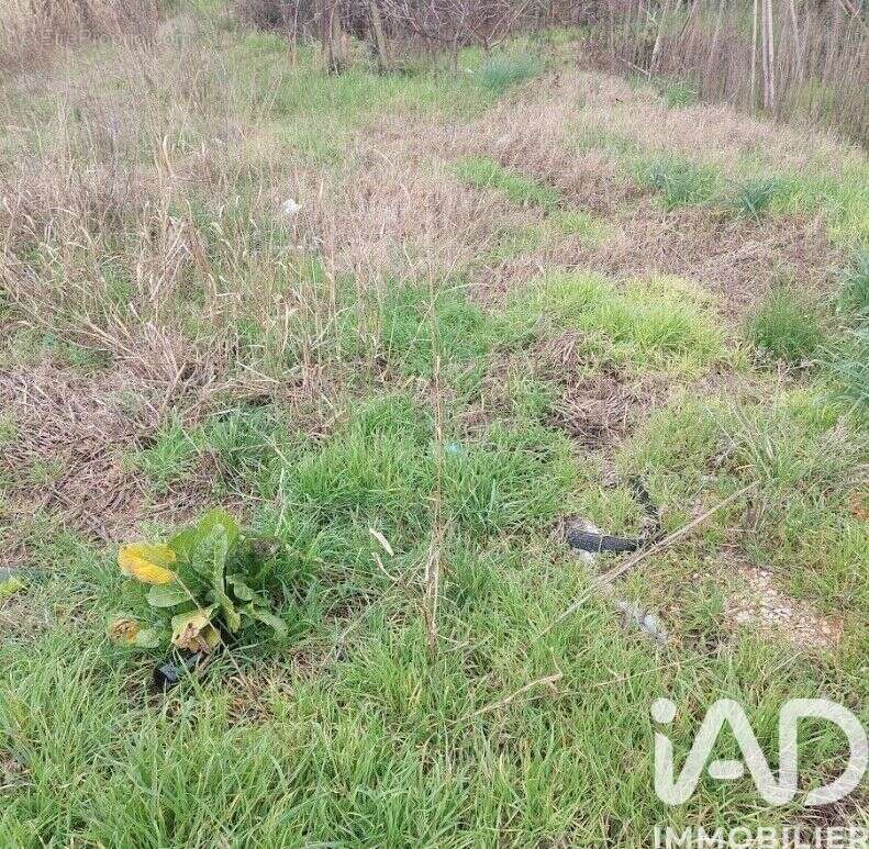 Photo 5 - Terrain à GENERAC