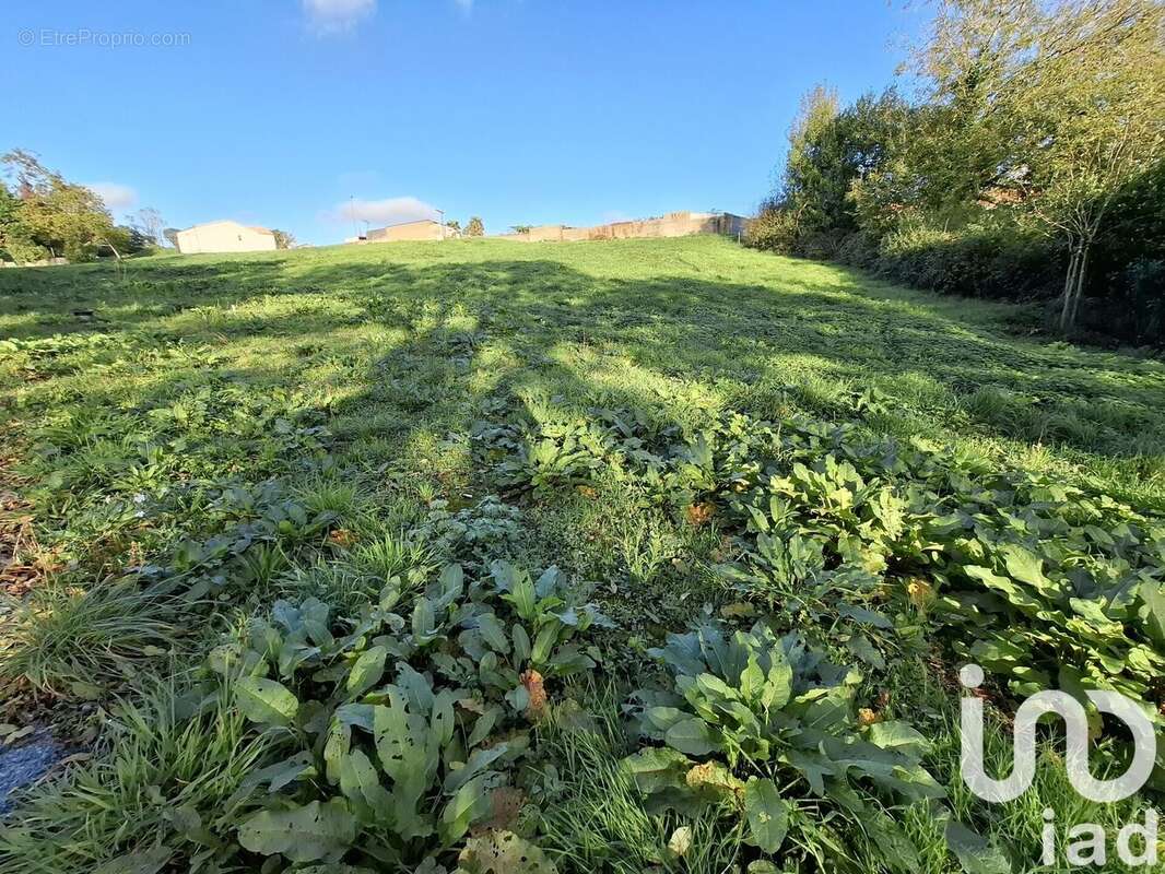 Photo 5 - Terrain à LA CHAPELLE-PALLUAU