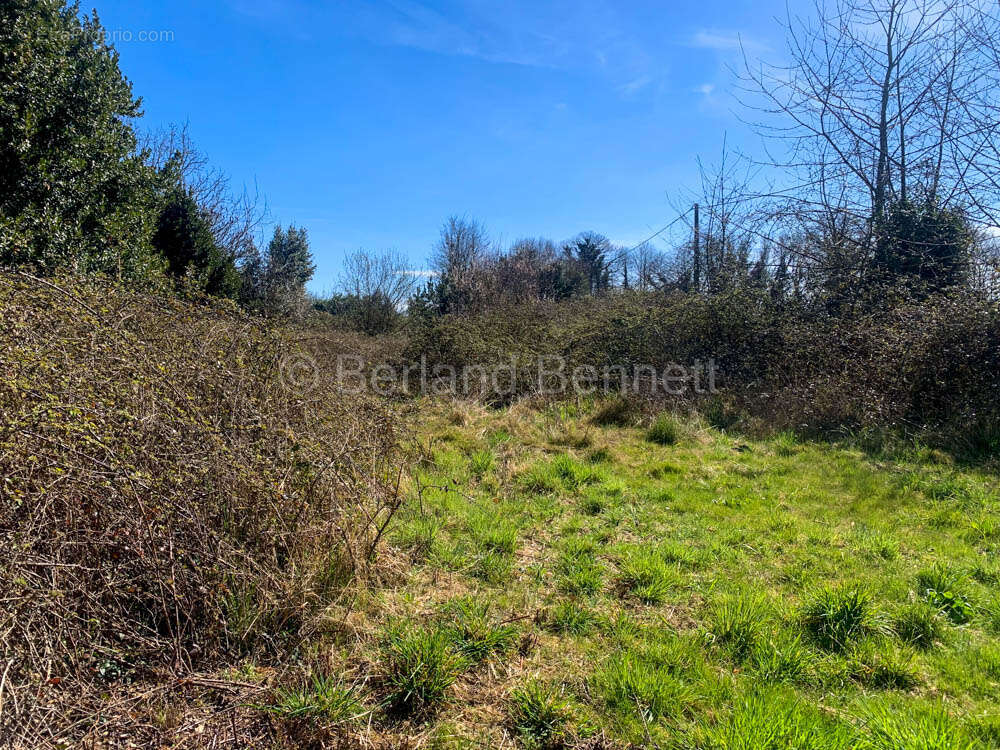 Terrain à SAUZE-VAUSSAIS