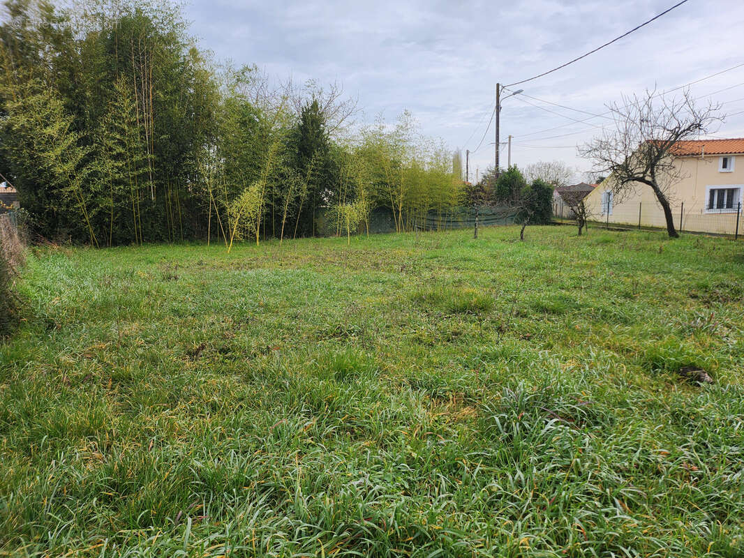 Terrain constructible non viabilisé - photo 4