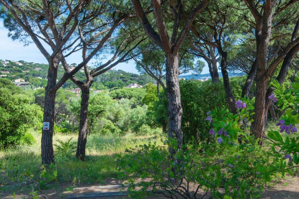 Appartement à SAINTE-MAXIME