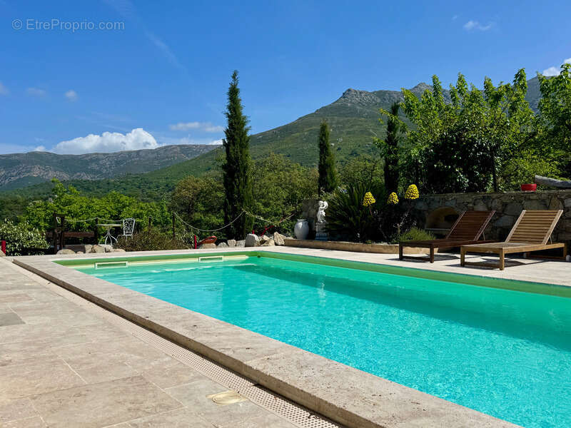 A vendre : Villa contemporaine de plain-pied avec piscine chauffée et vue montagne (Corse) - photo 20