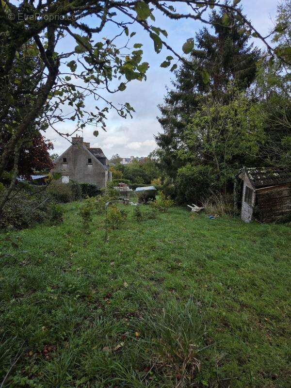 Terrain à LEZARDRIEUX