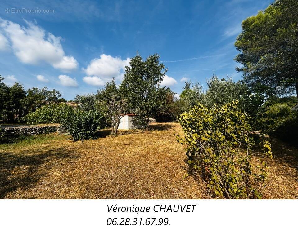 Terrain à DRAGUIGNAN