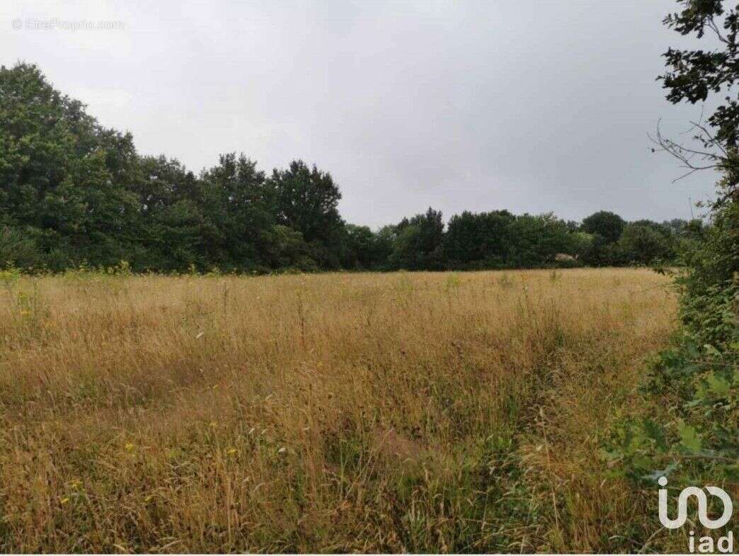 Photo 4 - Terrain à MARTINET