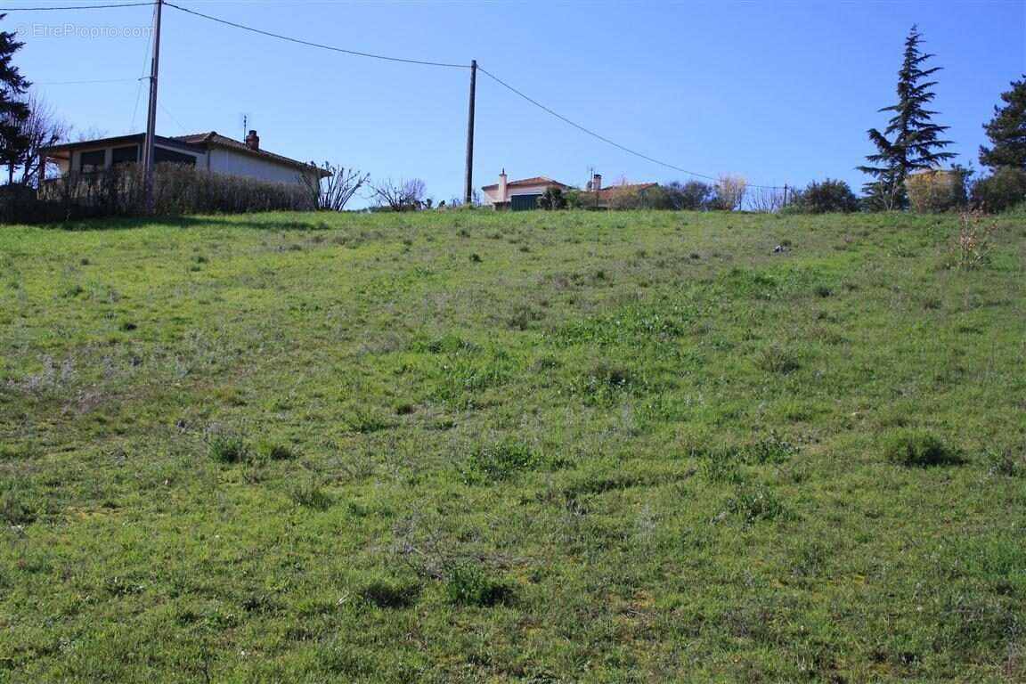 Terrain 2590 m² à Graulhet  - photo 3