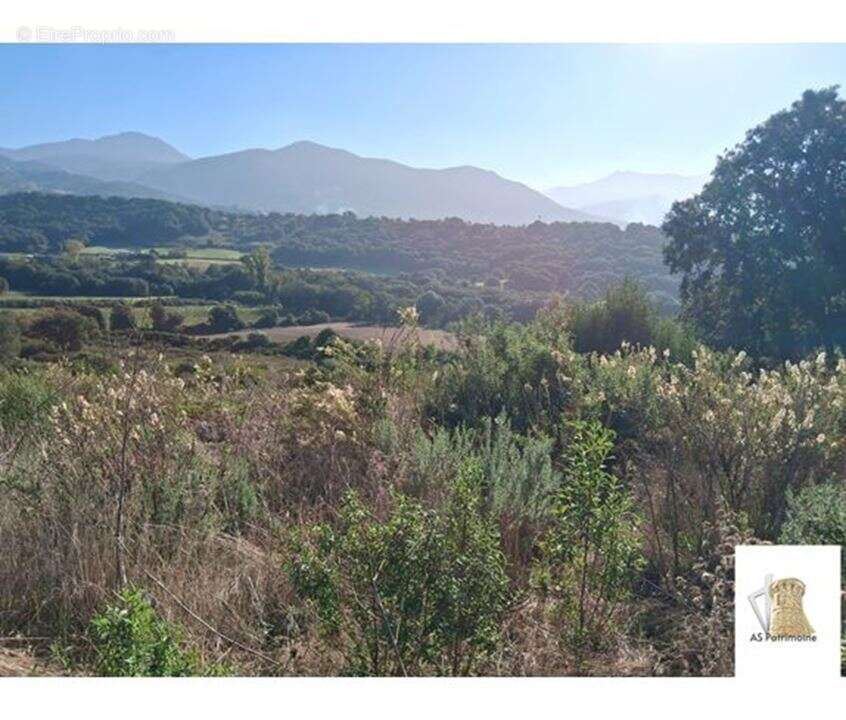 Maison à BASTELICACCIA