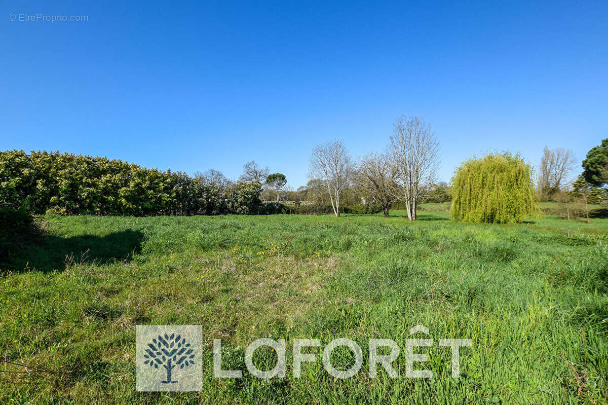 Maison à SAINT-ANDRE-DE-LIDON