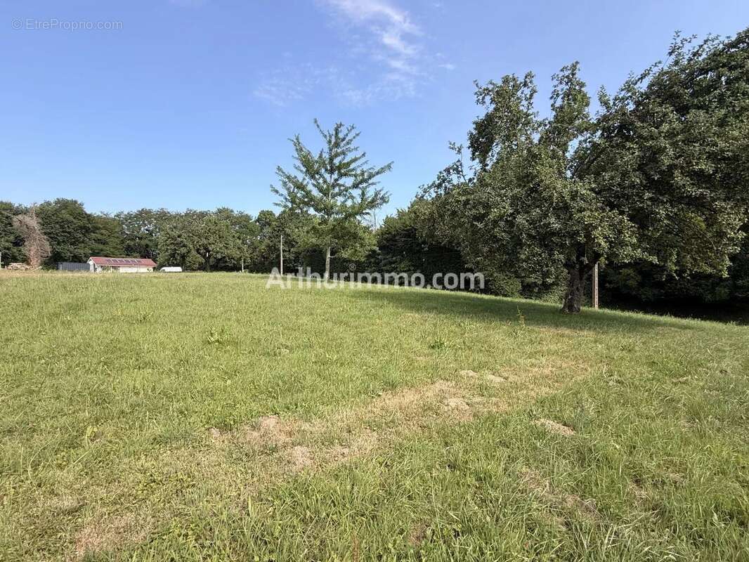 Vente Maison Savigny-en-revermont(71580) 199 900ï¿œ - photo 3