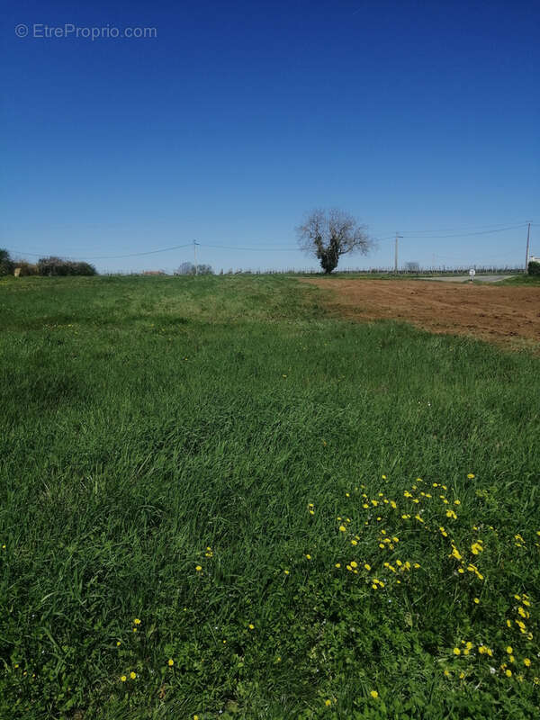 Terrain à RAUZAN