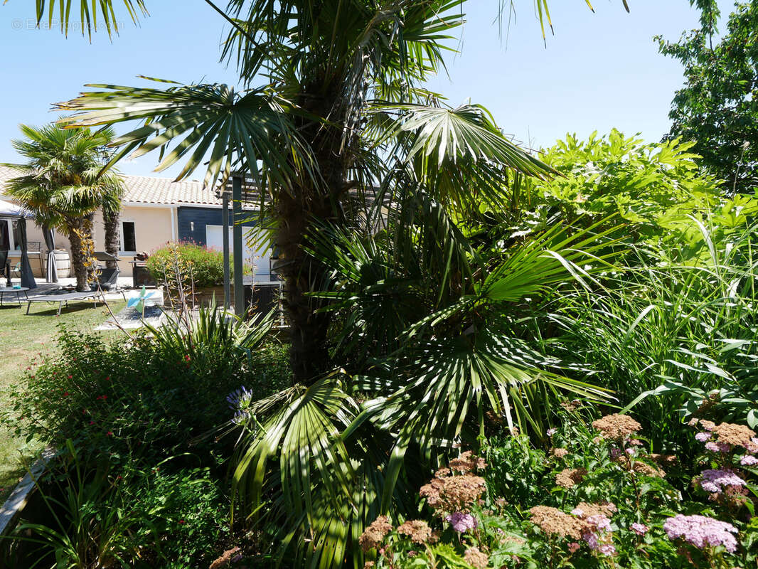 Maison à SAINT-CHRISTOPHE